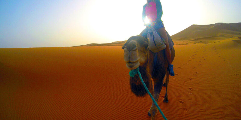 Deserto do Saara