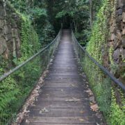 Turismo Verde no Litoral Norte
