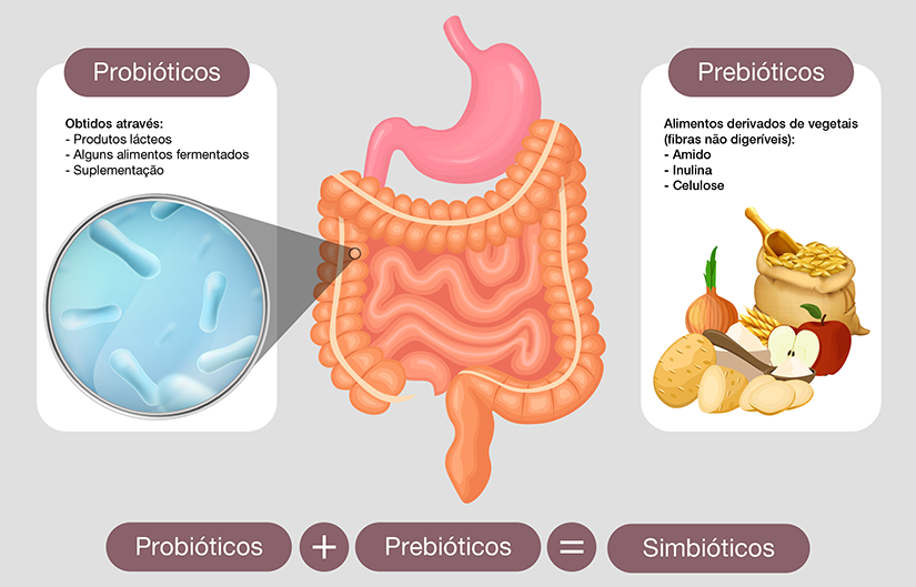 O que é prebiótico e qual a diferença para probiótico