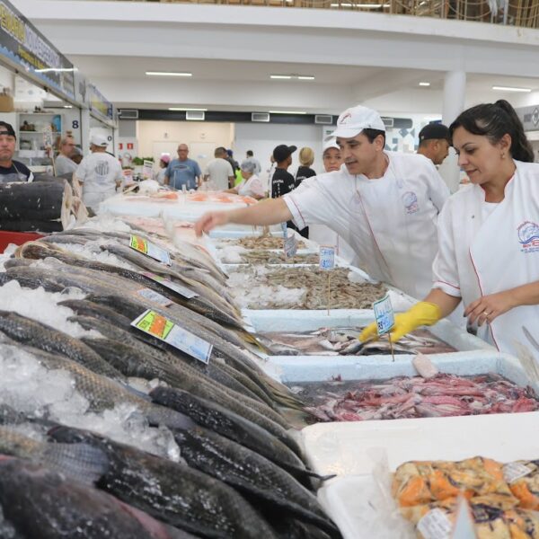 Festival da Tainha no Mercado de Peixes de Santos